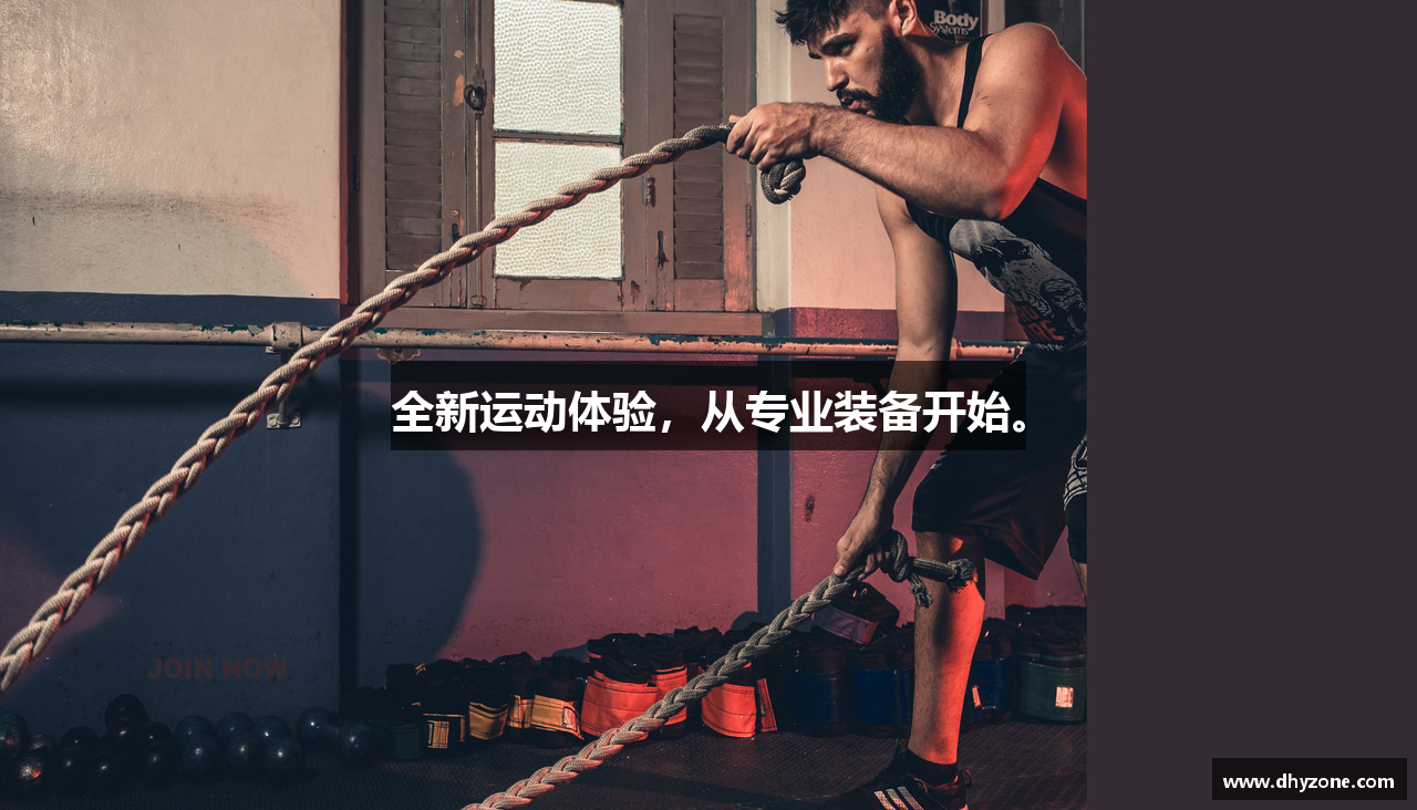 大红鹰集团
